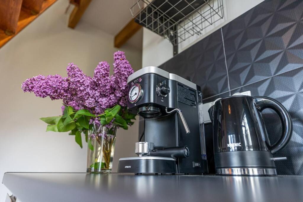 Wrzosowe Wzgorze - Azjatycki Holiday home Klaczno