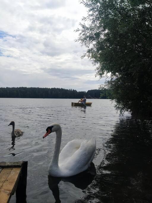 Wrzosowe Wzgorze - Azjatycki